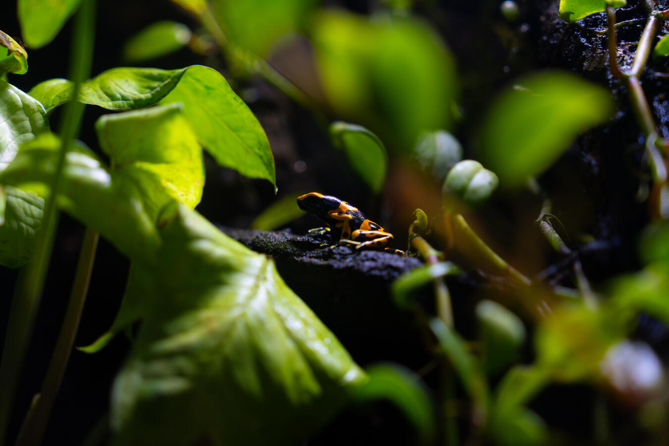 Untitled Untitled